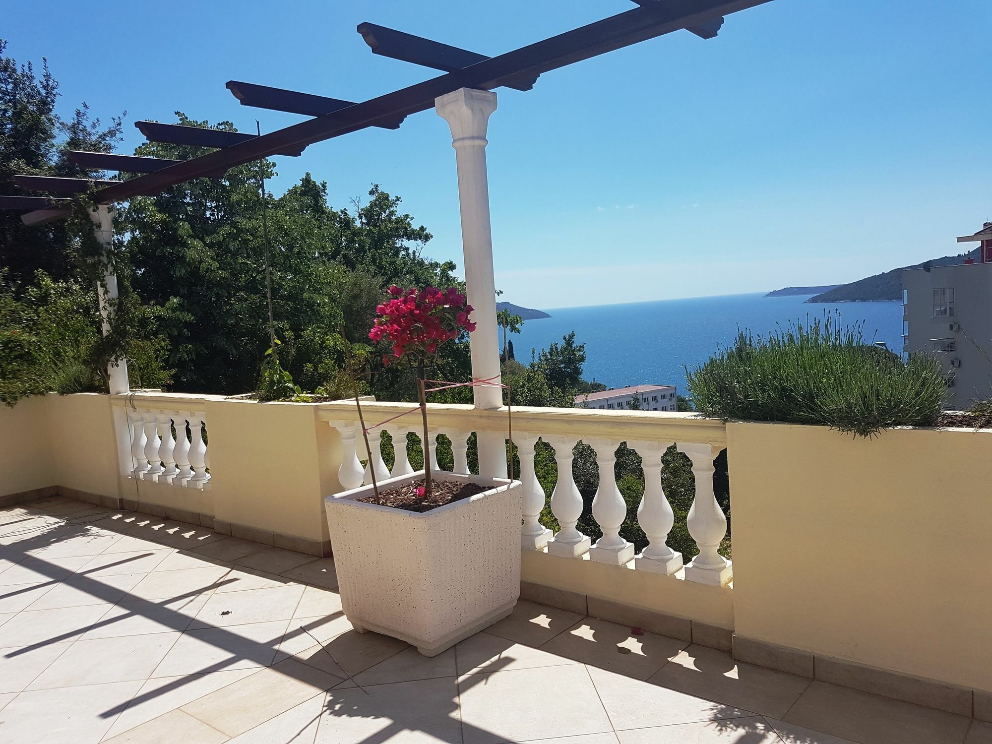 Apartments Herceg Novi Exteriör bild